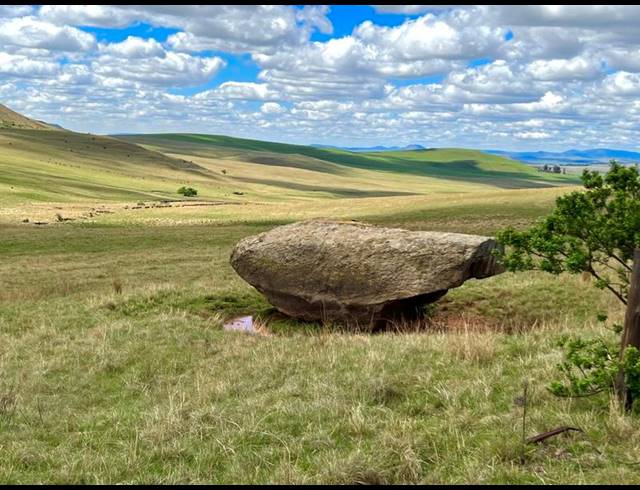 FARM FOR SALE IN MEMEL RURAL